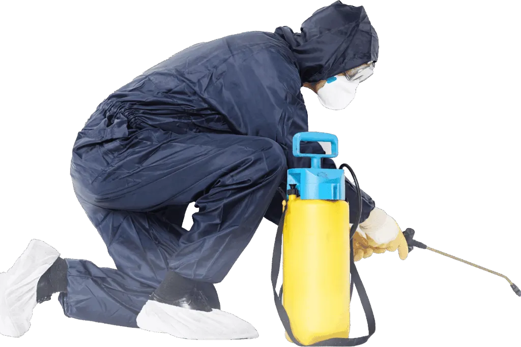 Disinfestatore Genova-