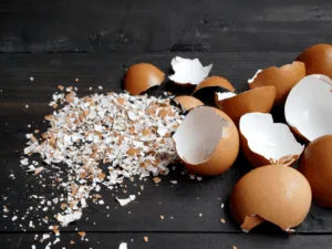 rimedi naturali contro le lumache rimedi naturali contro le lumache