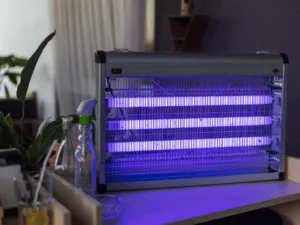 trappole luminose