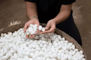 come si fa la bachicoltura