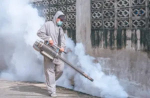 disinfestazione dengue