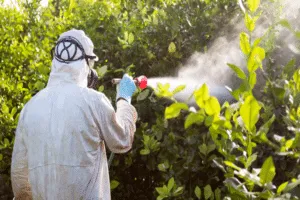 disinfestazione ragnetti rossi
