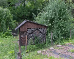 disinfestazioni ecologiche