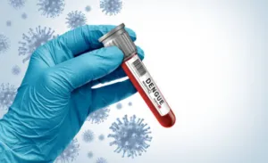 virus dengue